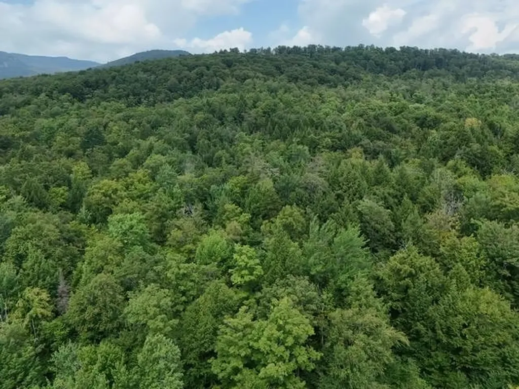 762 Potter Road Lowell VT 05847