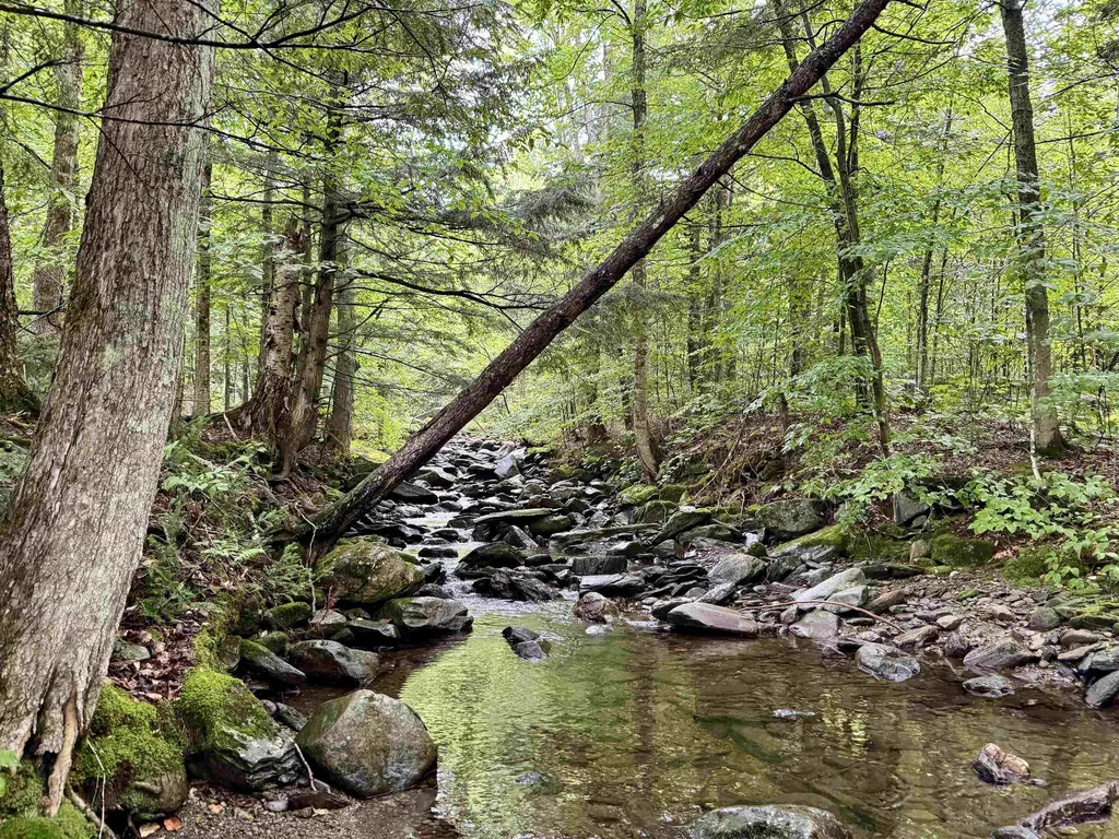 762 Potter Road Lowell VT 05847