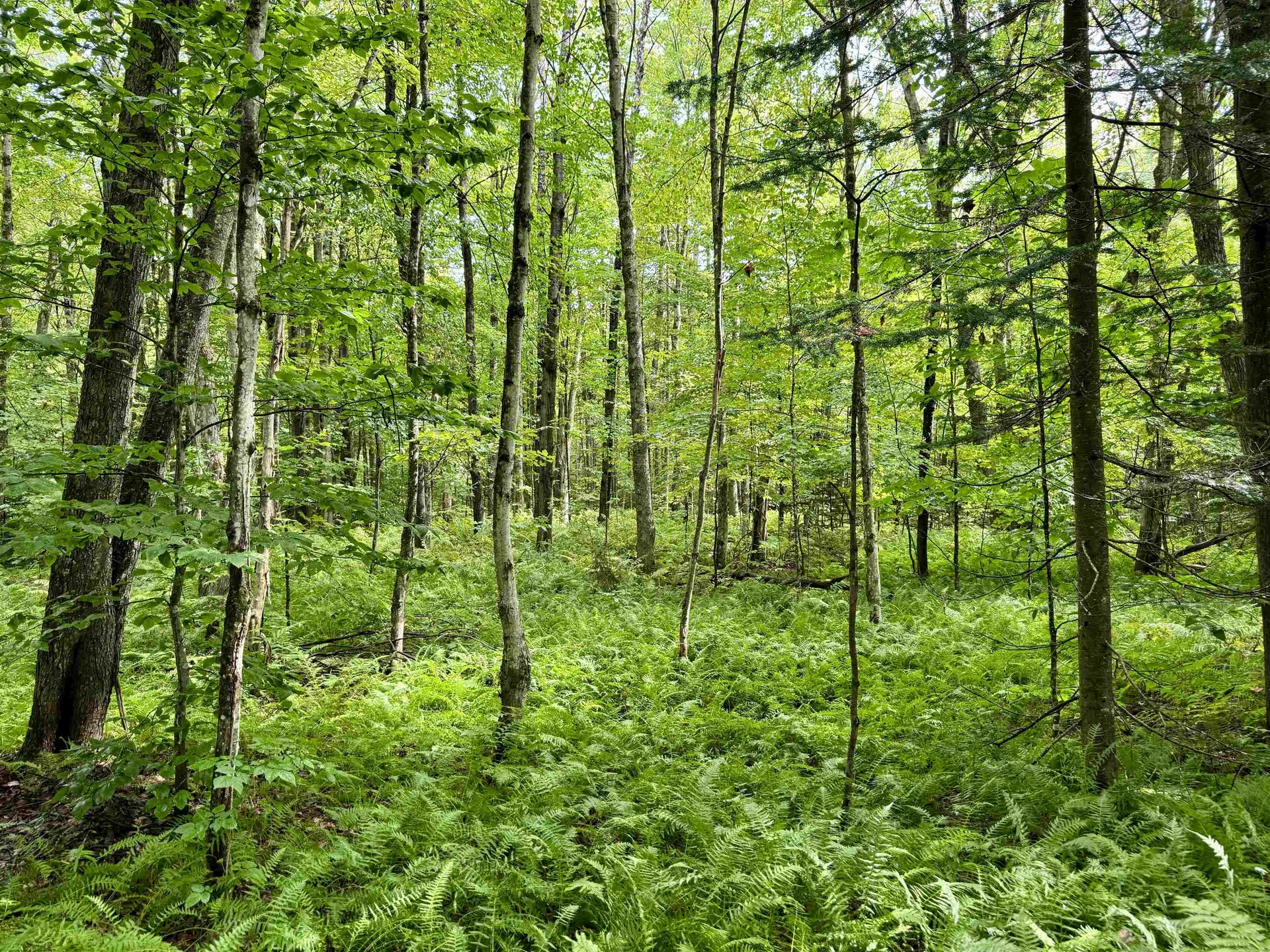 762 Potter Road Lowell VT 05847