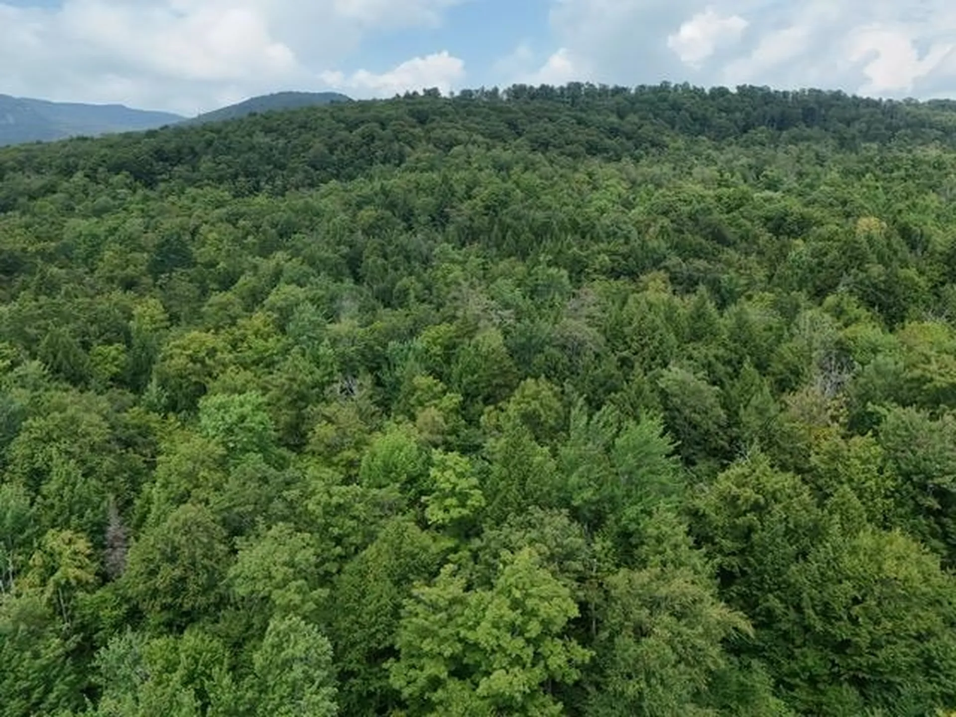 762 Potter Road Lowell VT 05847