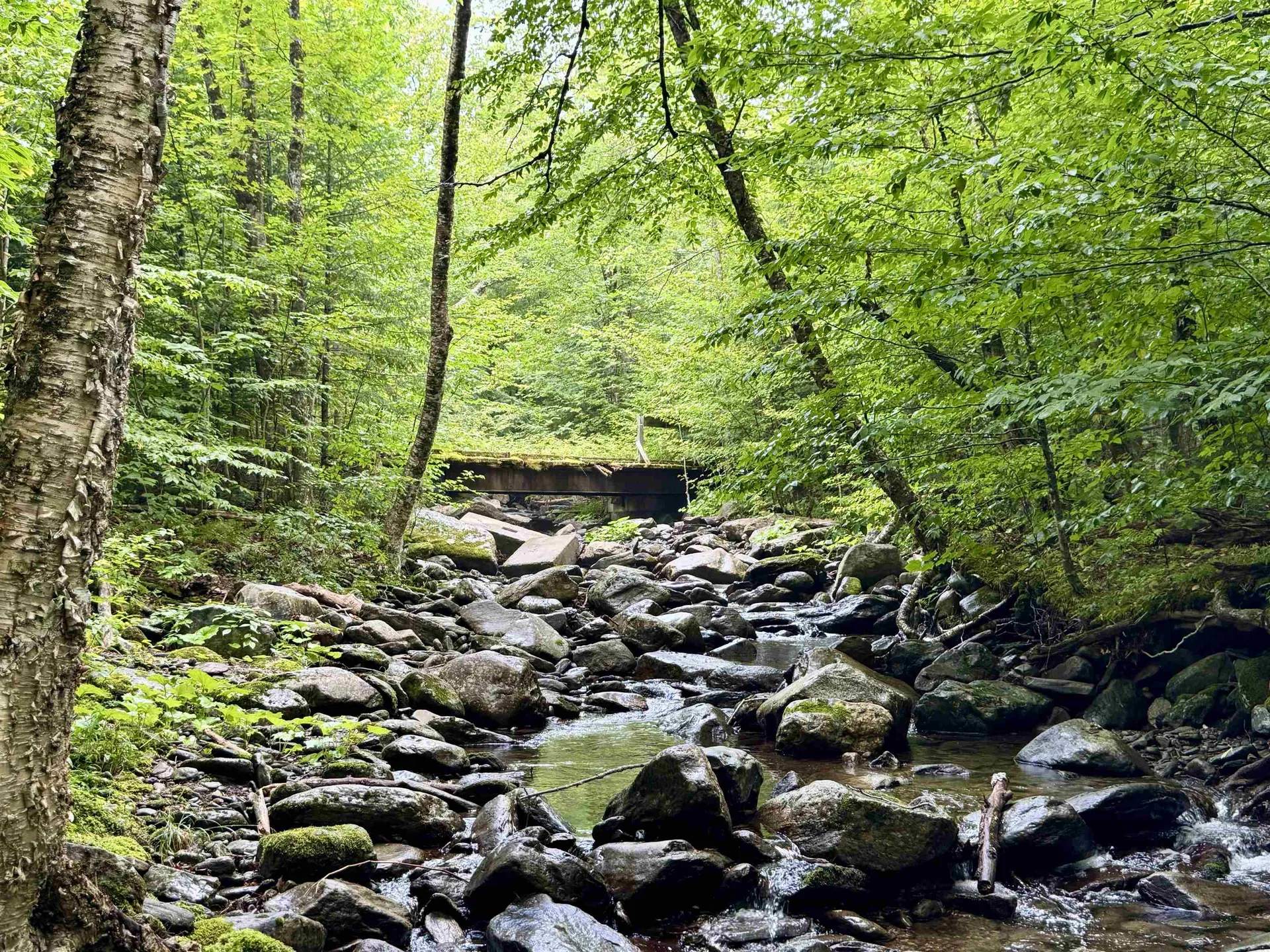 762 Potter Road Lowell VT 05847