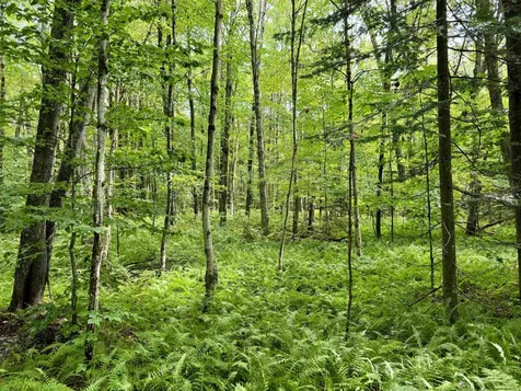 762 Potter Road Lowell VT 05847