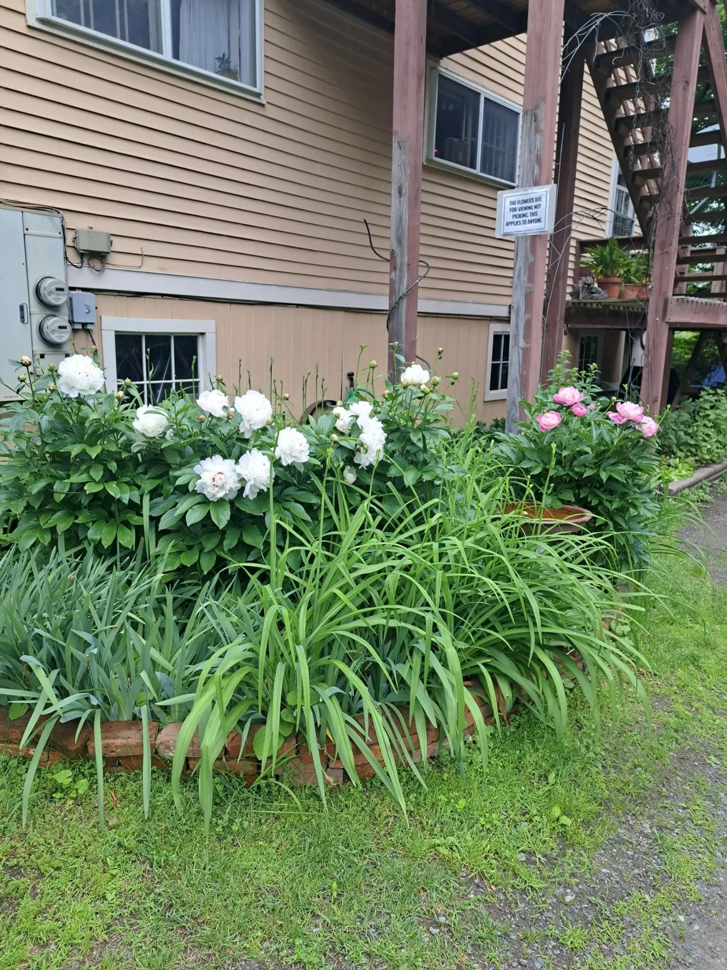 62 Westminster Road Putney VT 05346