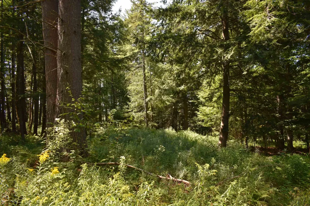 0 Jacobs Road East Montpelier VT 05651