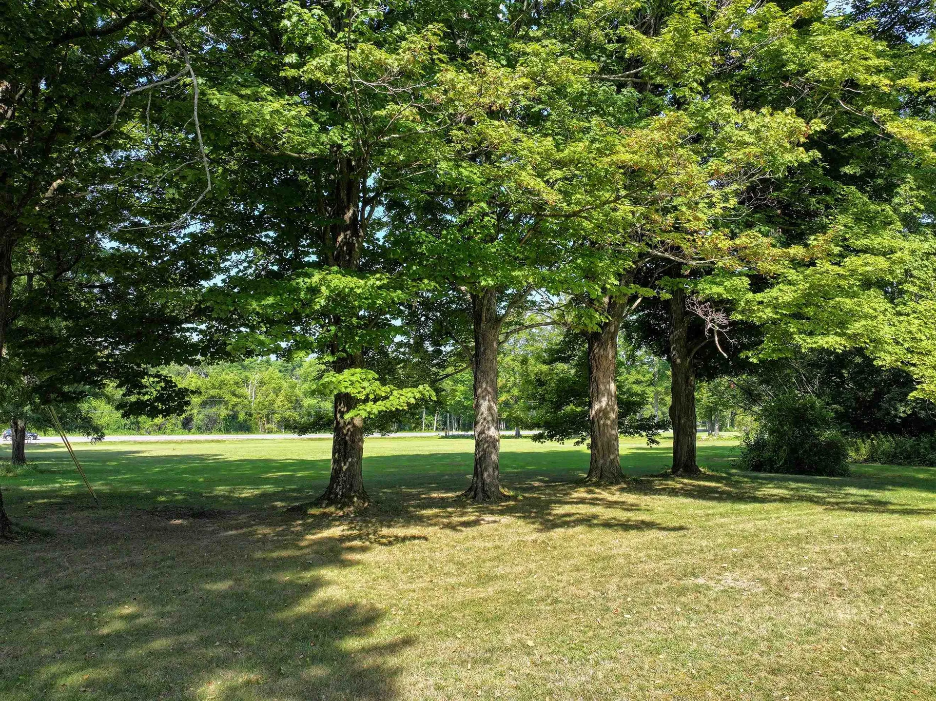 62 Windy Knoll Lane Leicester VT 05733