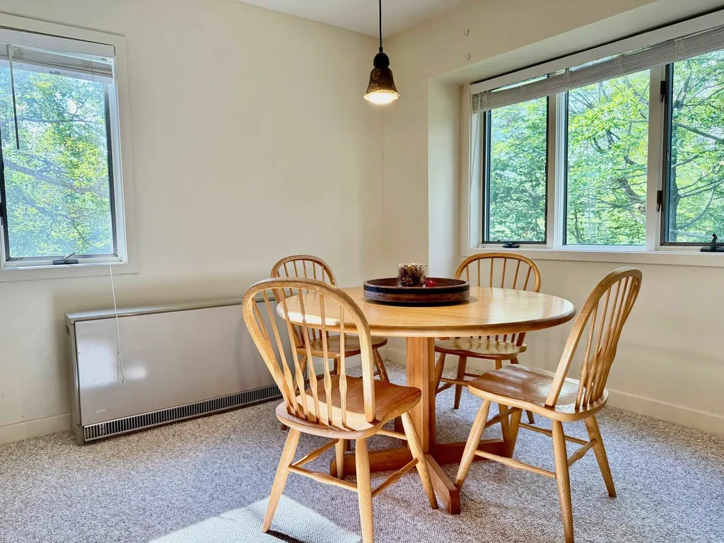 65 East Birch Road Stratton VT 05155