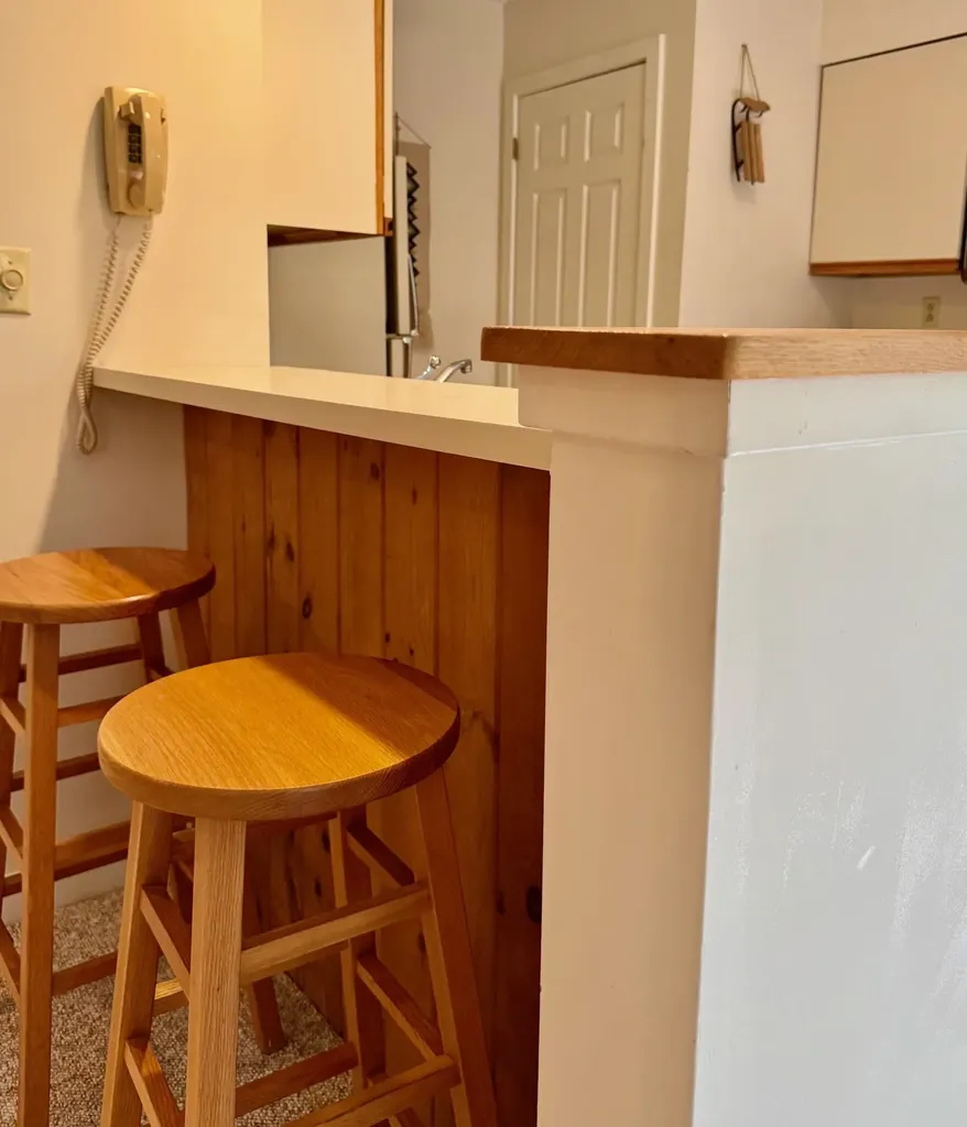 65 East Birch Road Stratton VT 05155