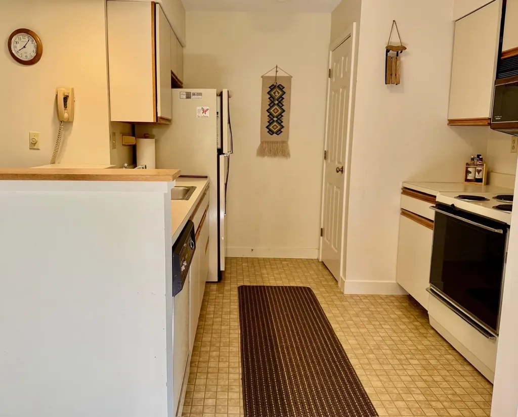 65 East Birch Road Stratton VT 05155