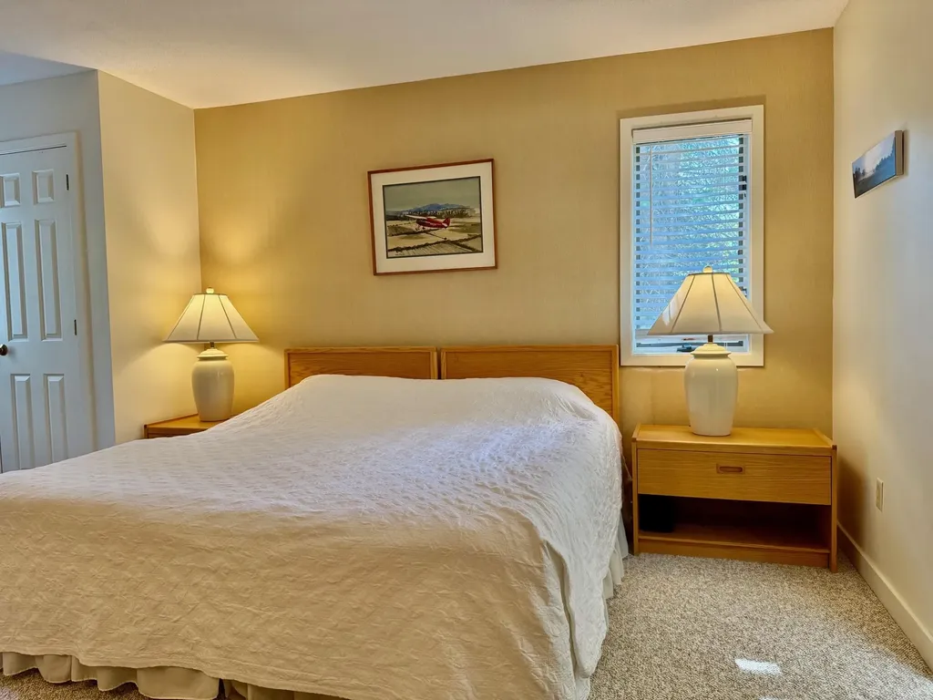 65 East Birch Road Stratton VT 05155