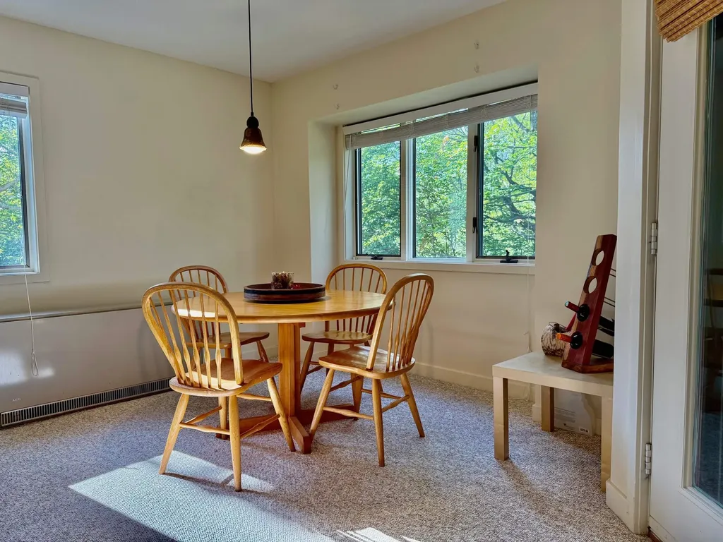 65 East Birch Road Stratton VT 05155