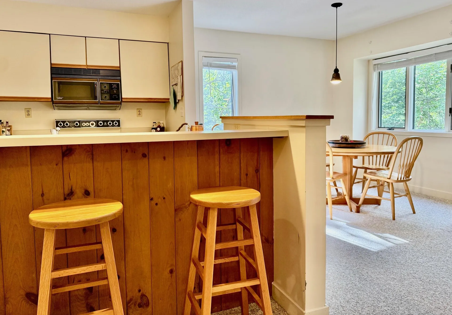 65 East Birch Road Stratton VT 05155