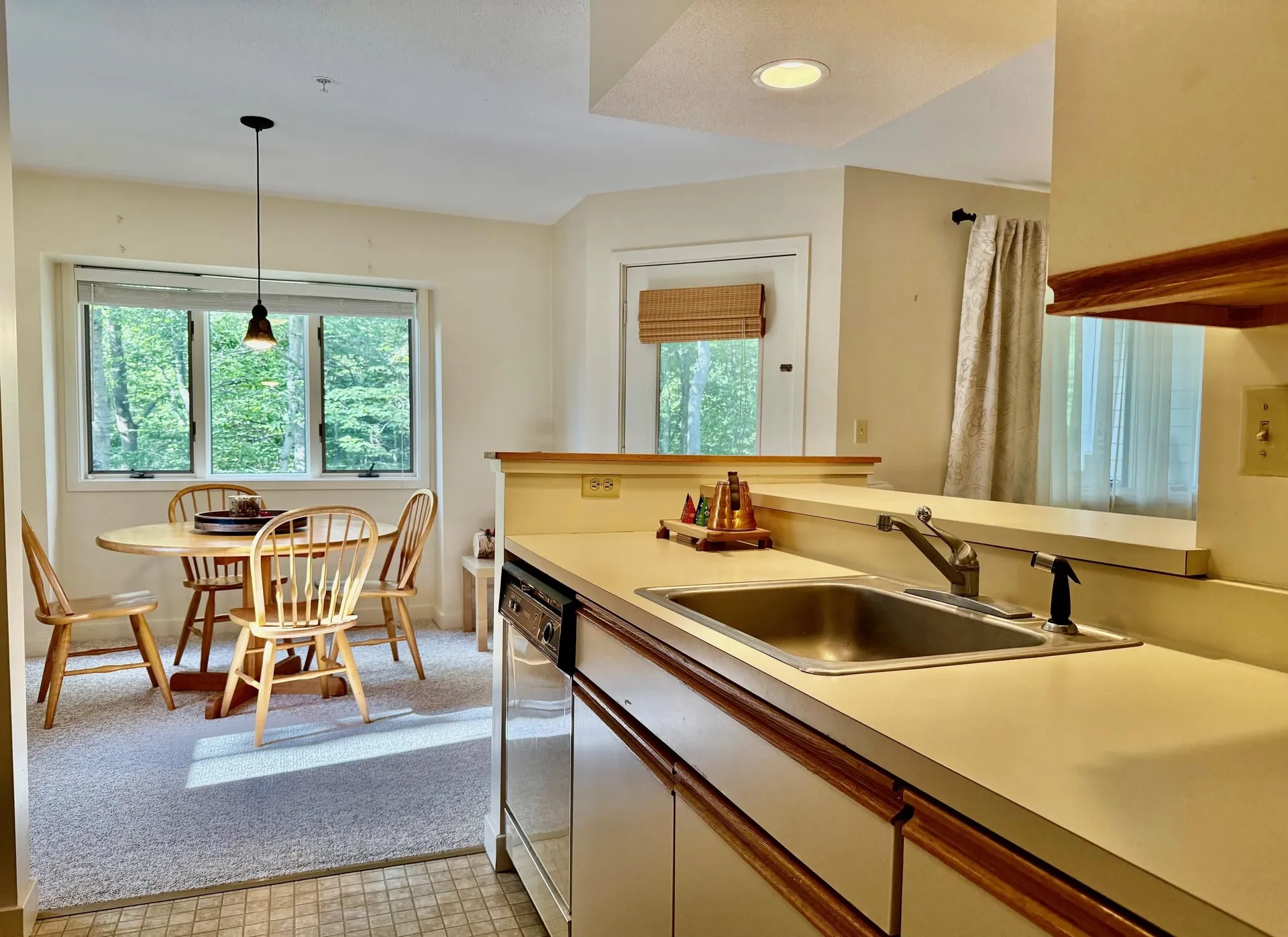 65 East Birch Road Stratton VT 05155