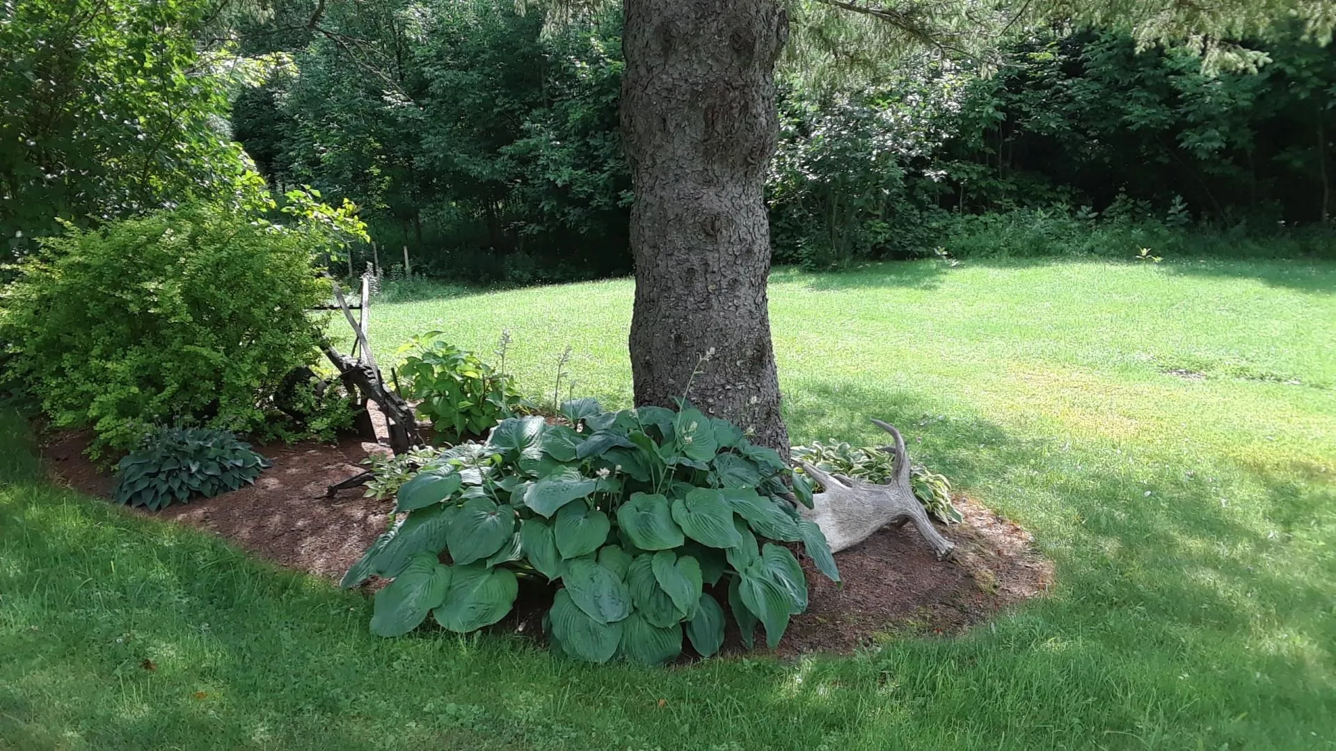 100 Derby Gore Road Charleston VT 05872