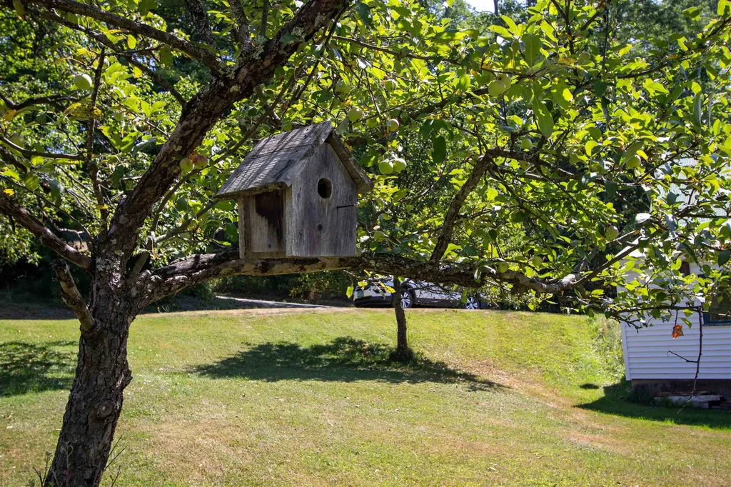 1247 High Ridge Road Waterford VT 05819