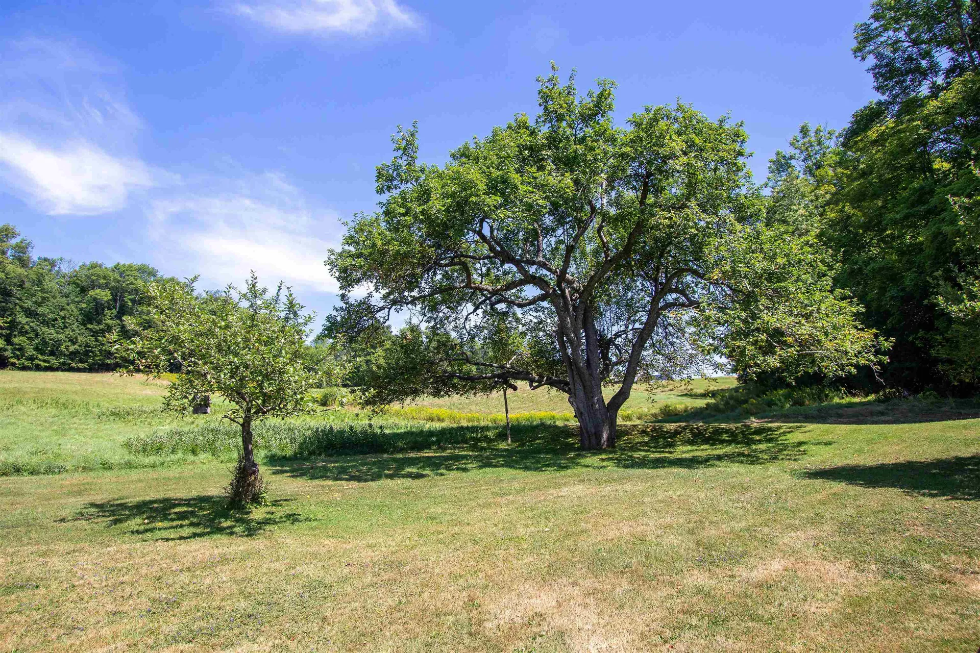 1247 High Ridge Road Waterford VT 05819