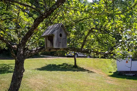 1247 High Ridge Road Waterford VT 05819