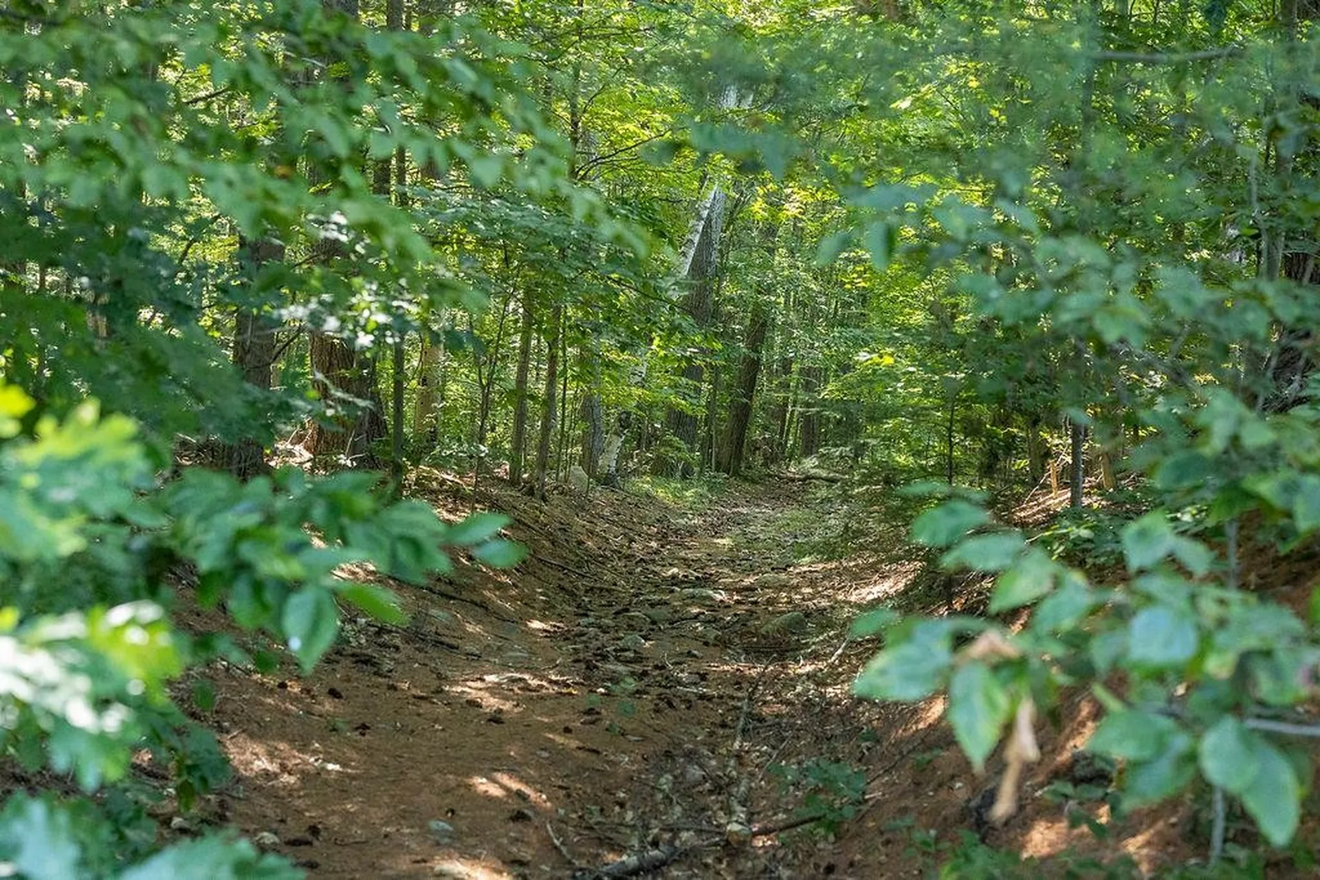 George Road Hopkinton NH 03229