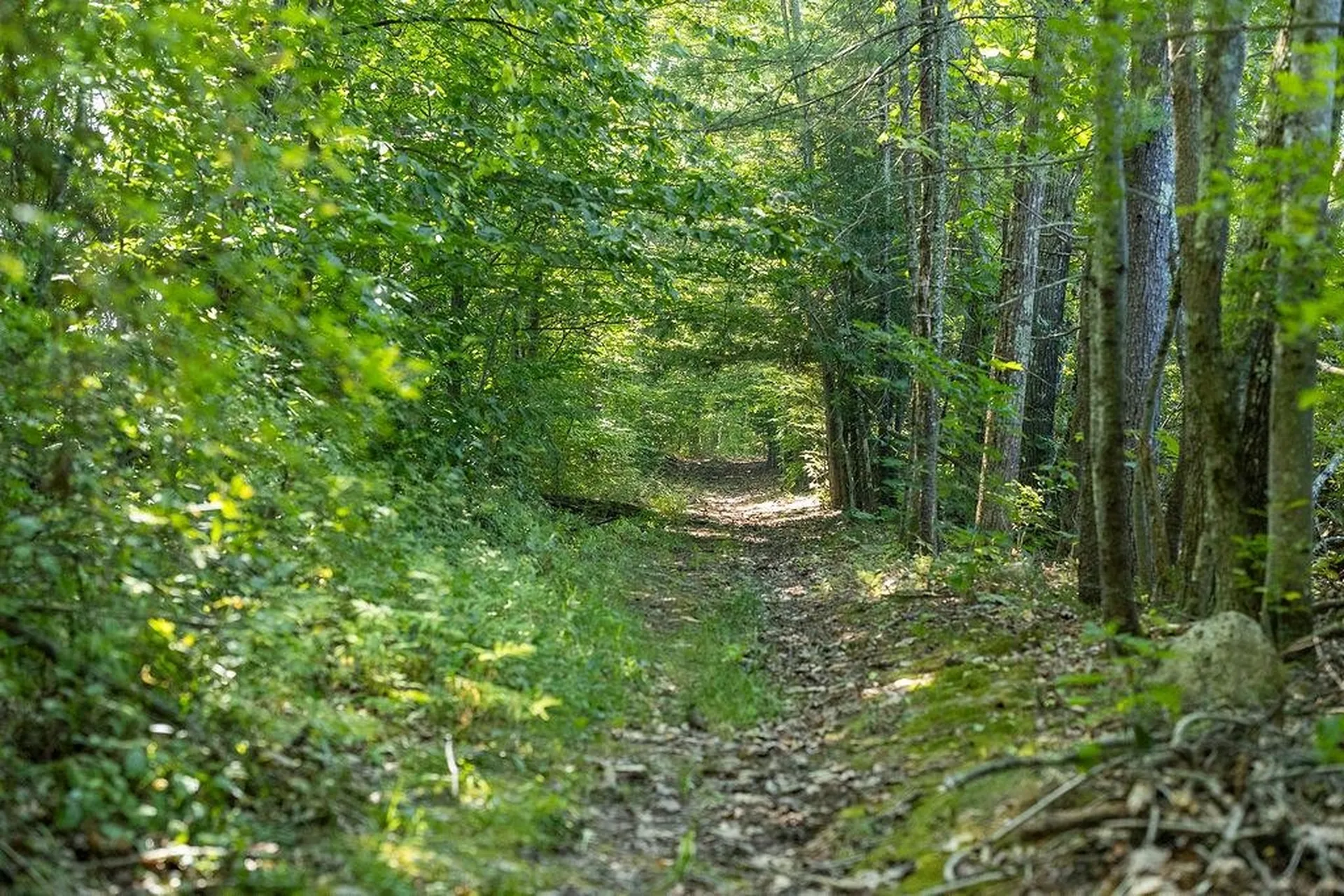 George Road Hopkinton NH 03229