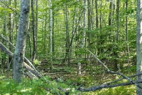 George Road Hopkinton NH 03229