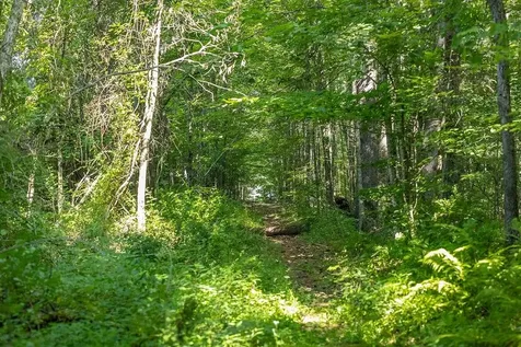 George Road Hopkinton NH 03229