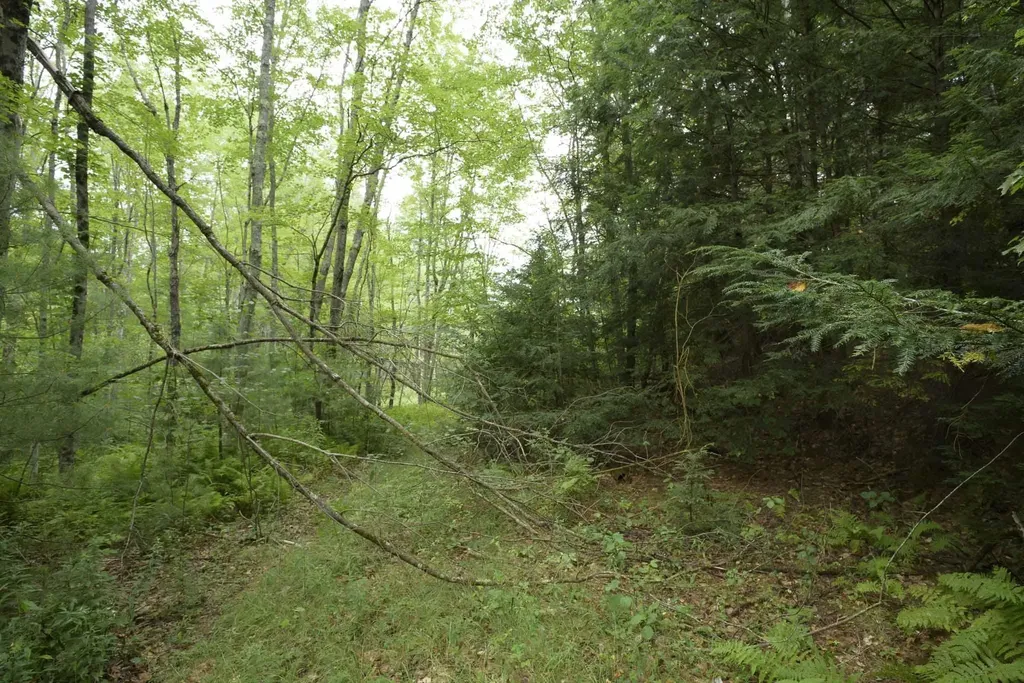 227 Valley Road Dublin NH 03444