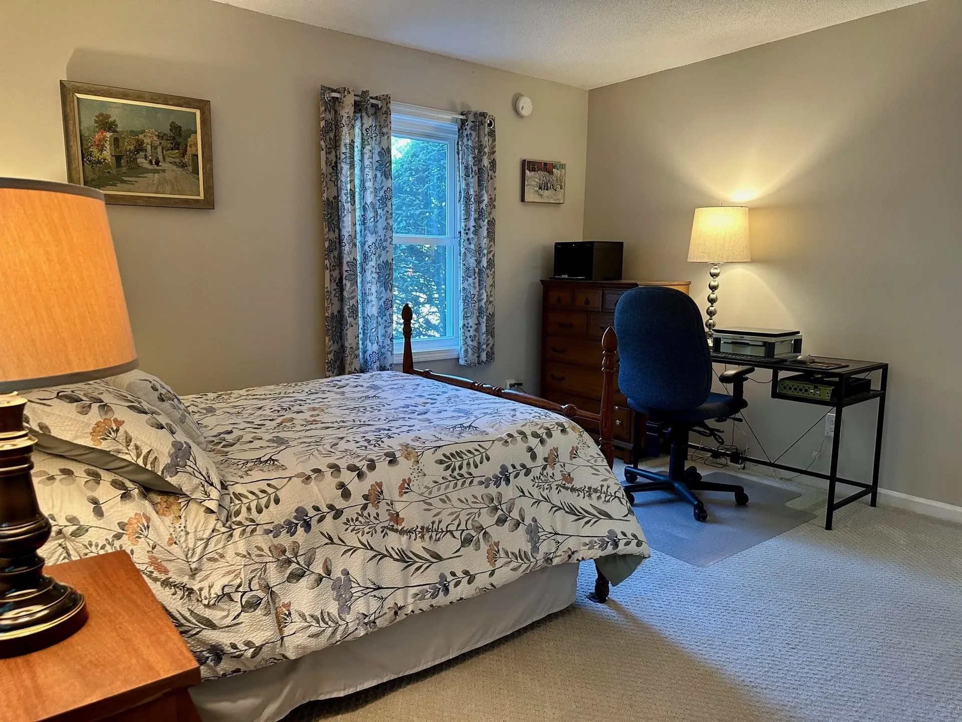 18 Pheasant Woods Colchester VT 05446