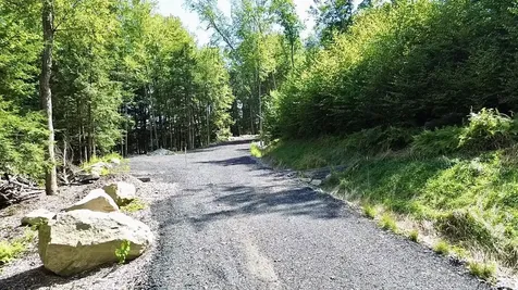 3 Beechtree Way Amherst NH 03033