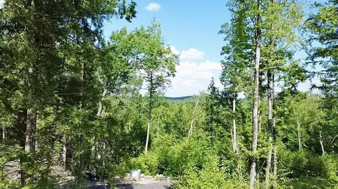 3 Beechtree Way Amherst NH 03033