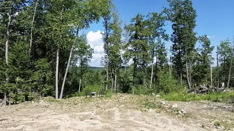 3 Beechtree Way Amherst NH 03033