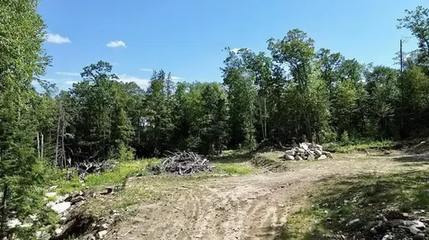 3 Beechtree Way Amherst NH 03033