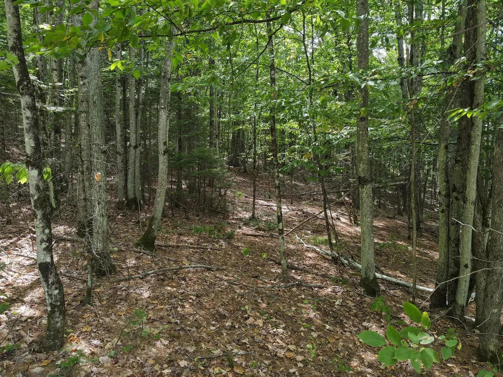 Kimball Hill Road Whitefield NH 03598