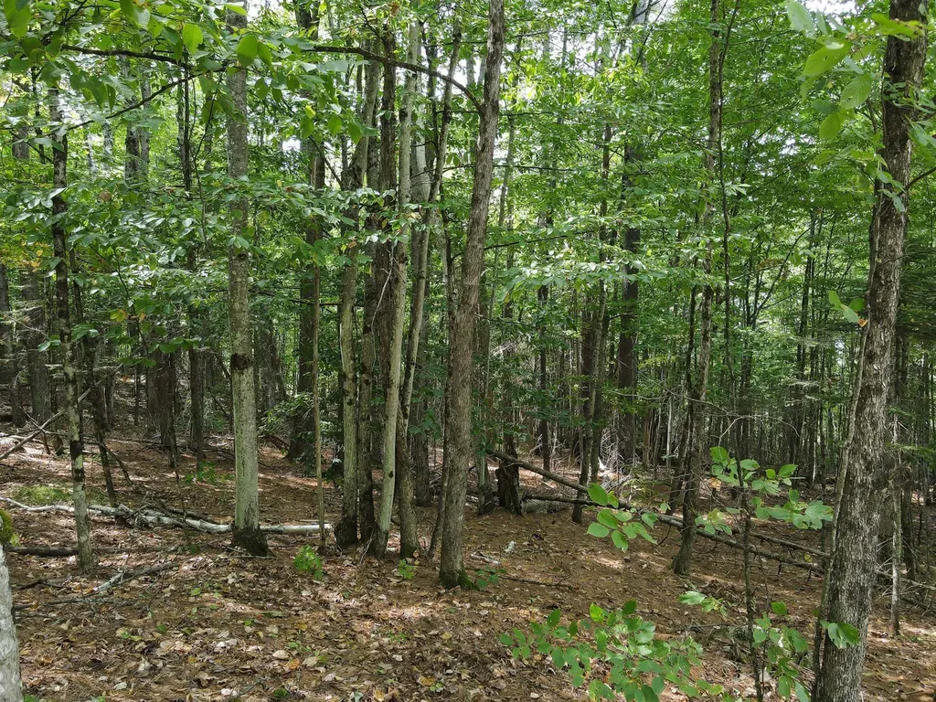 Kimball Hill Road Whitefield NH 03598