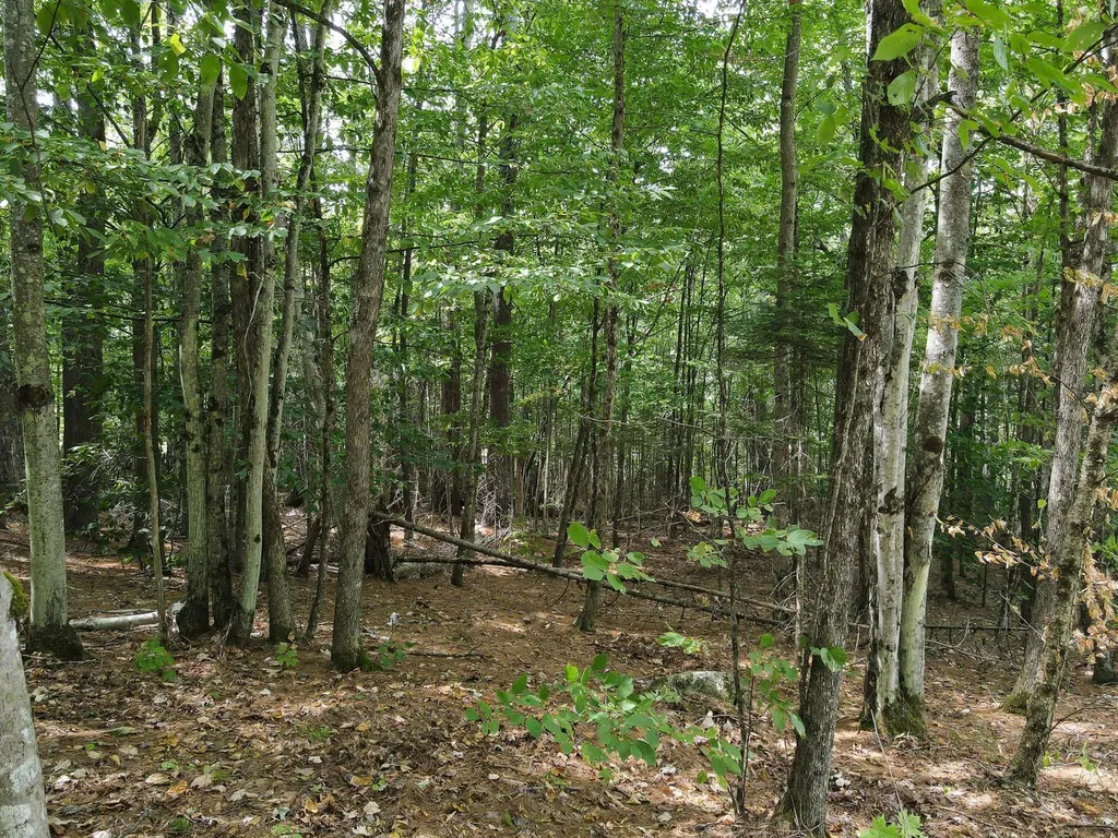 Kimball Hill Road Whitefield NH 03598