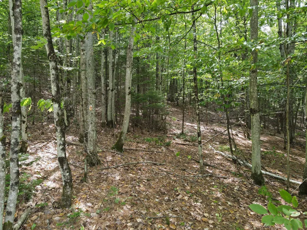 Kimball Hill Road Whitefield NH 03598