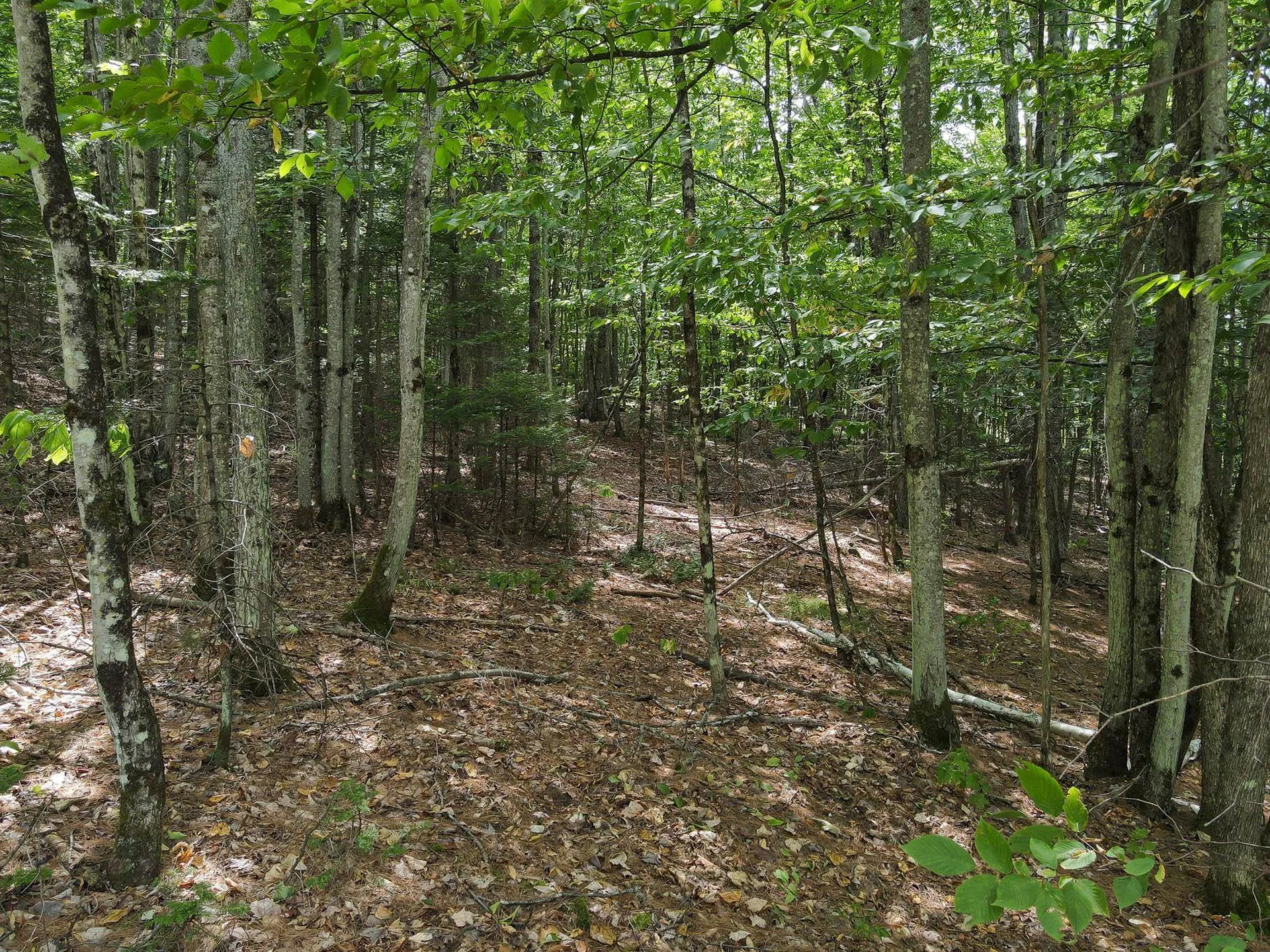 Kimball Hill Road Whitefield NH 03598