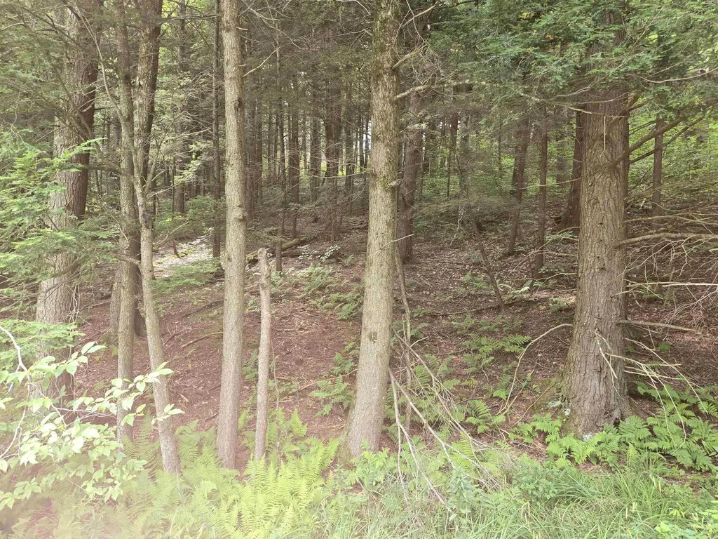 8 Bentley Lane Jericho VT 05465