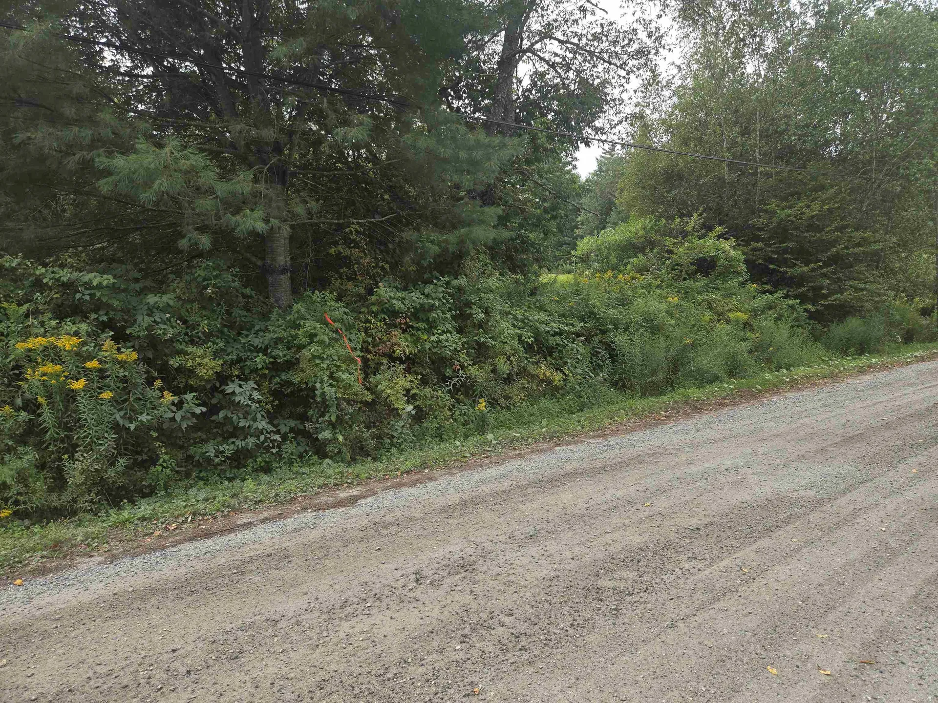 8 Bentley Lane Jericho VT 05465