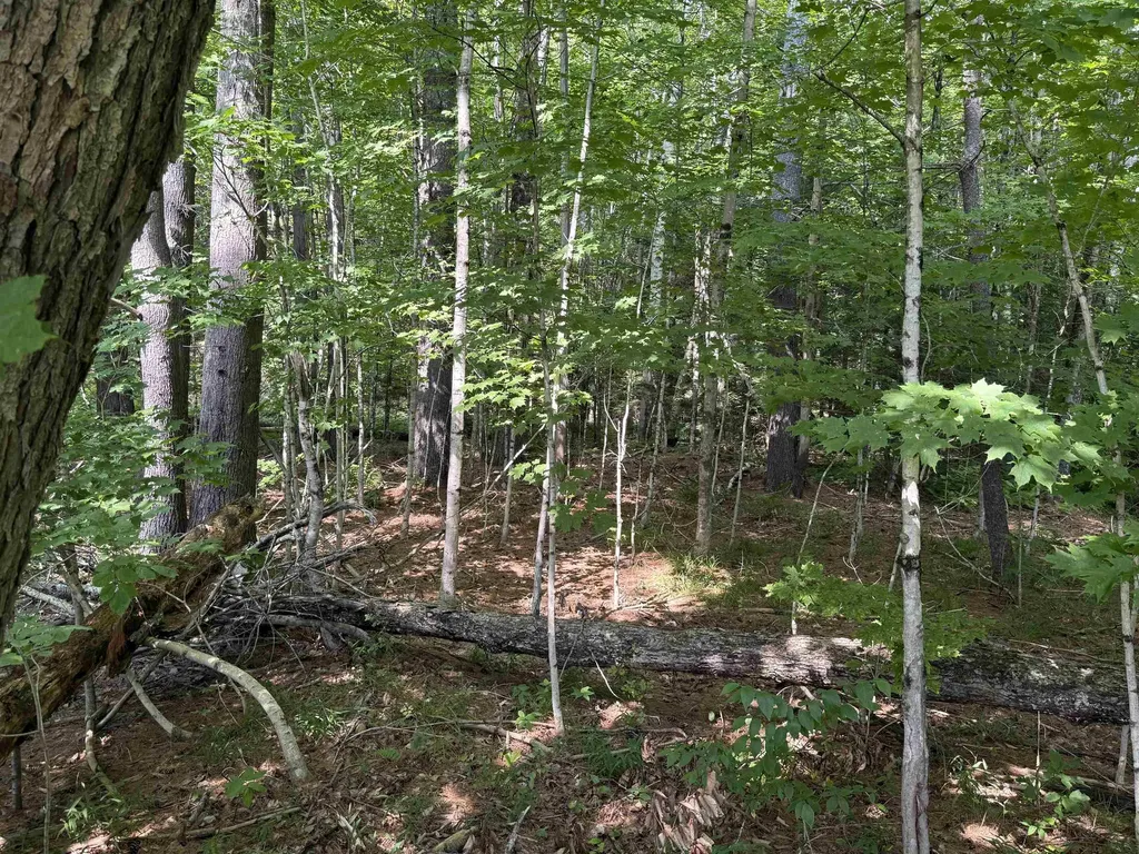 96 Bumps Intervale Road Campton NH 03223