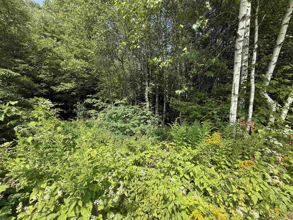 96 Bumps Intervale Road Campton NH 03223