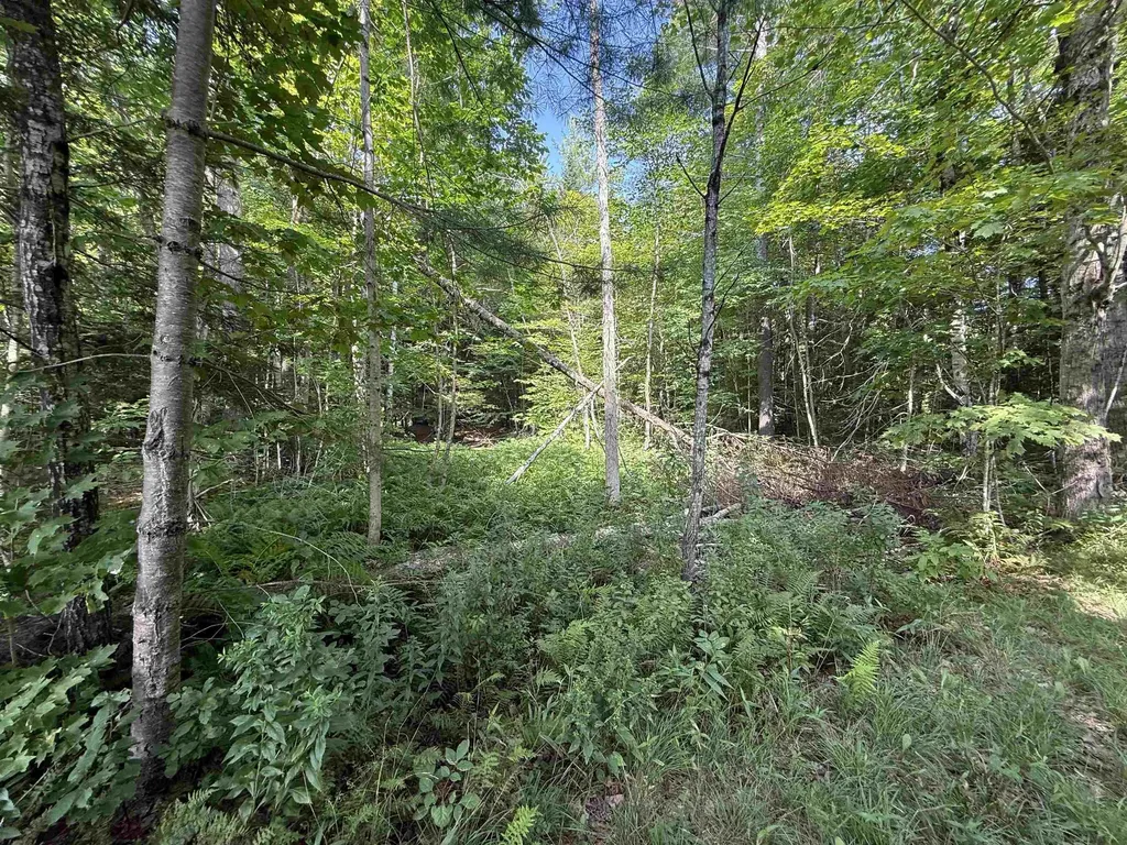 96 Bumps Intervale Road Campton NH 03223