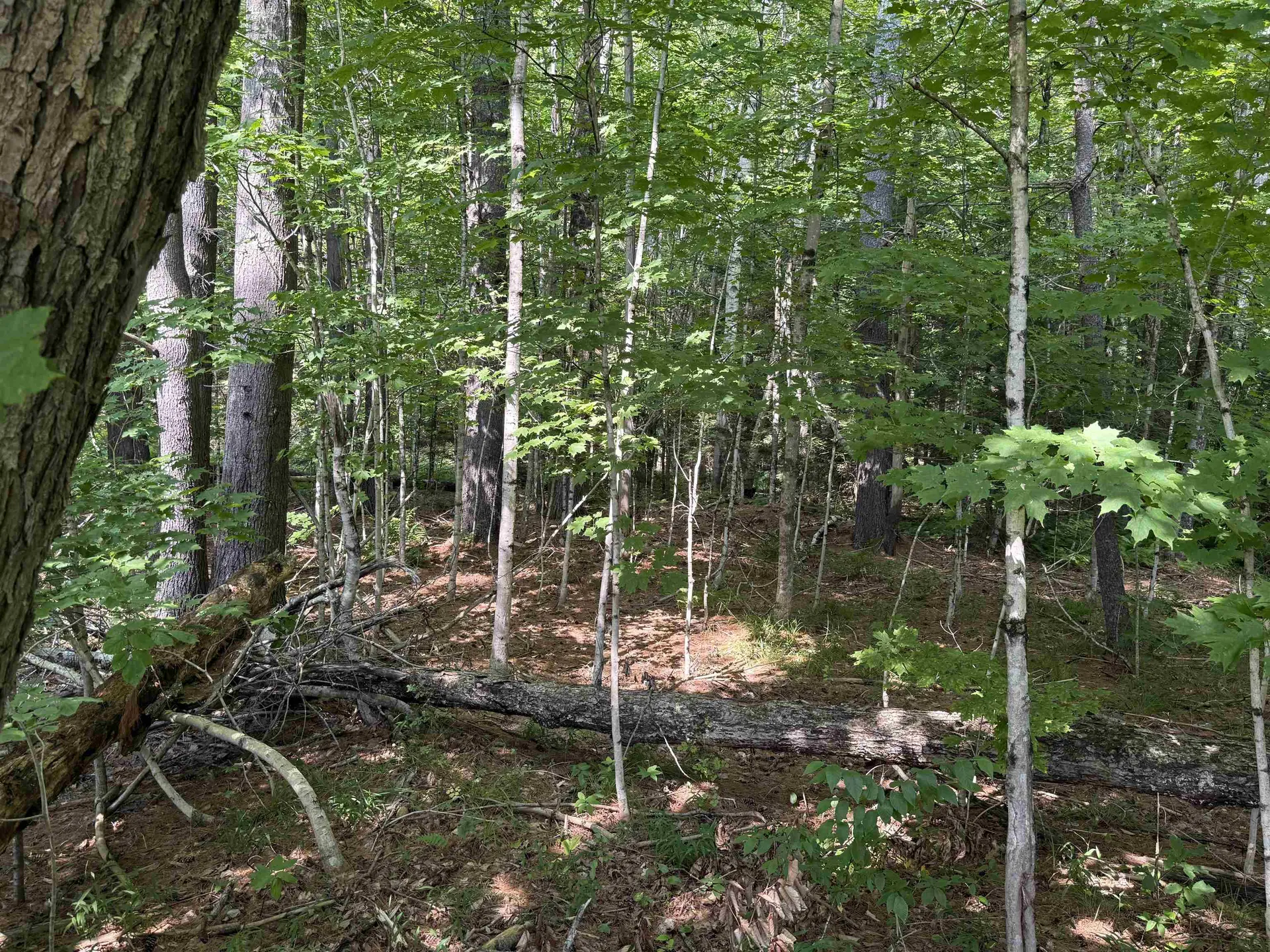 96 Bumps Intervale Road Campton NH 03223