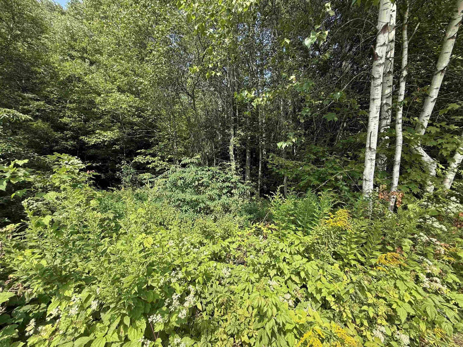 96 Bumps Intervale Road Campton NH 03223