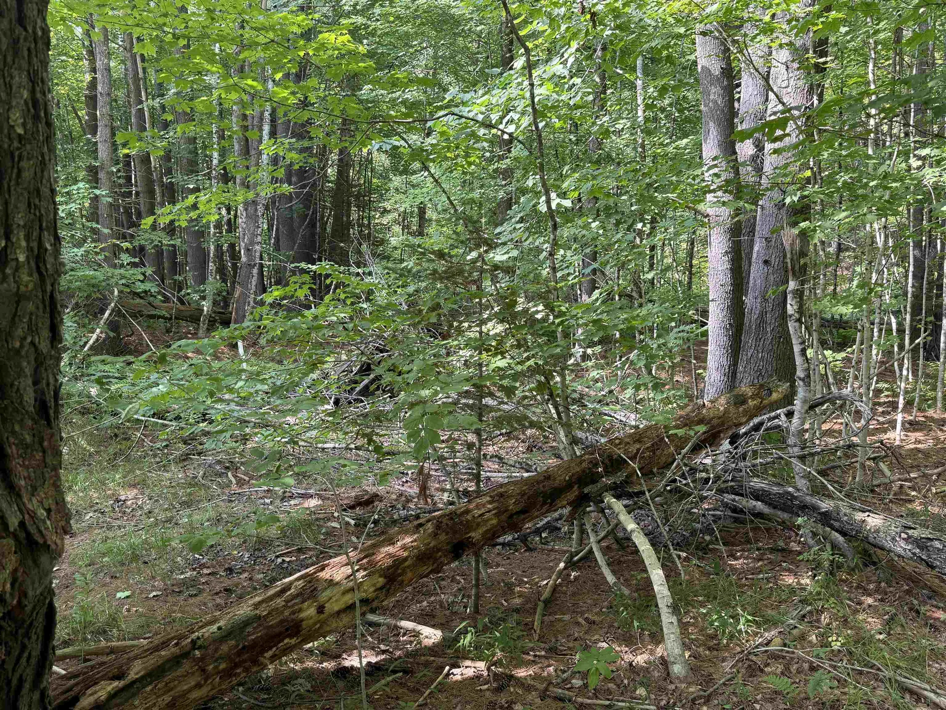 96 Bumps Intervale Road Campton NH 03223