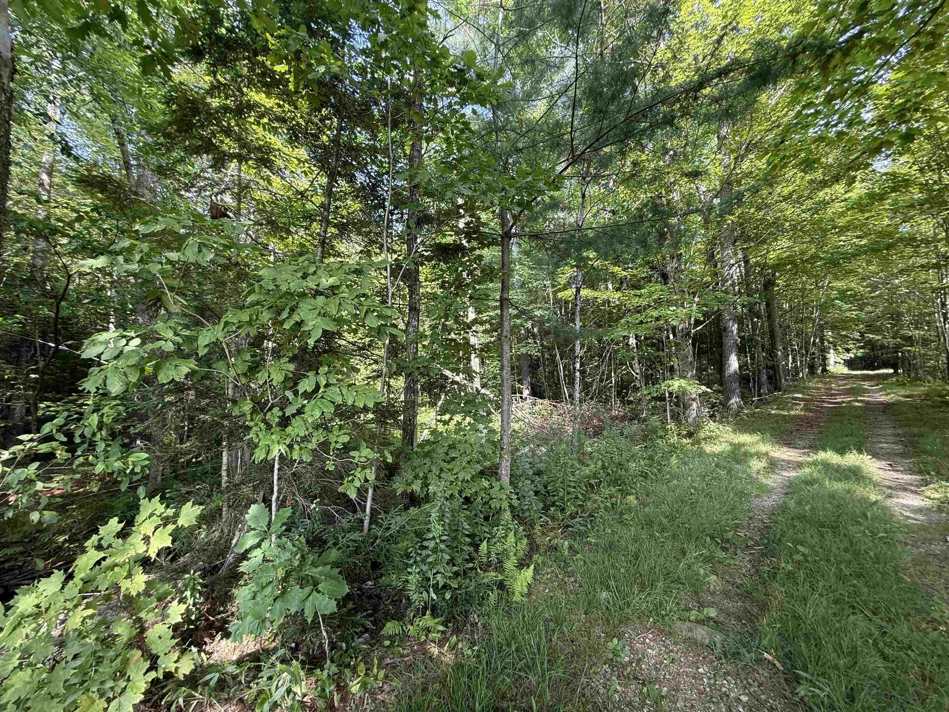 96 Bumps Intervale Road Campton NH 03223