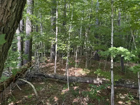 96 Bumps Intervale Road Campton NH 03223