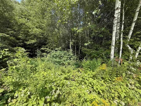 96 Bumps Intervale Road Campton NH 03223