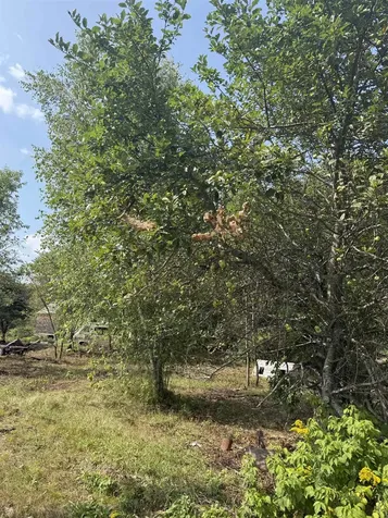 96 Bumps Intervale Road Campton NH 03223