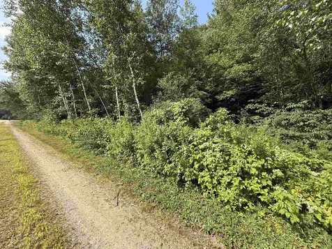 96 Bumps Intervale Road Campton NH 03223