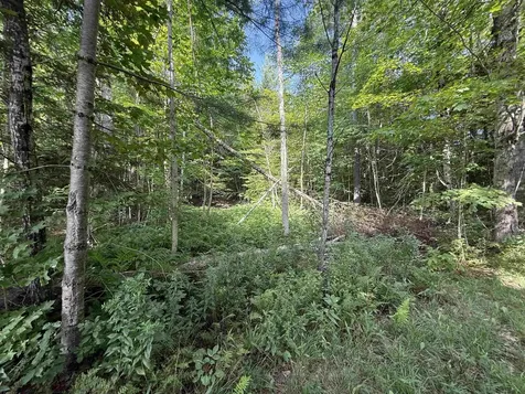 96 Bumps Intervale Road Campton NH 03223