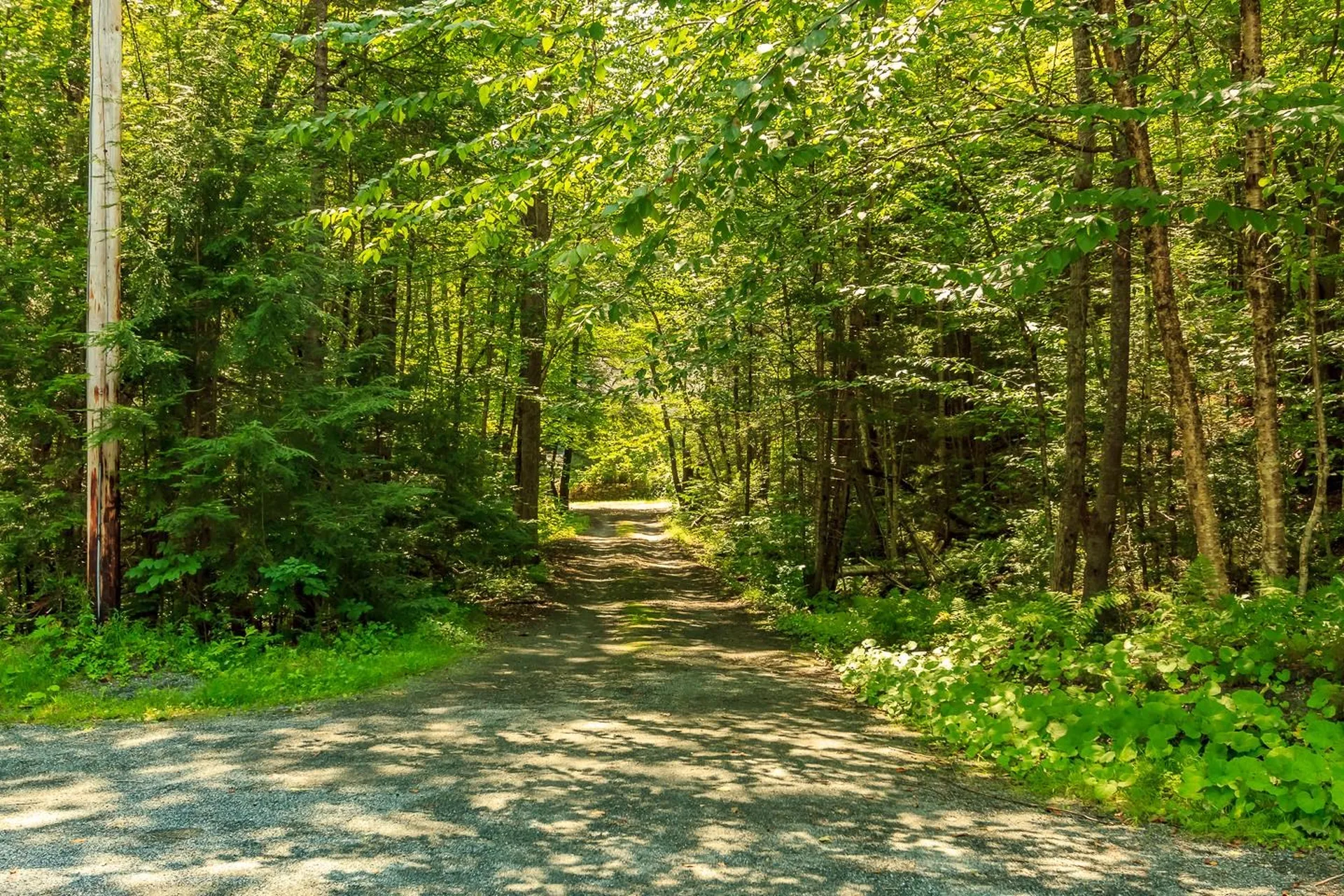 15 Bogie Place Grantham NH 03753